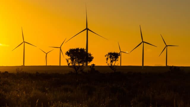 Jeffrey's Bay wind farm silhouetted against sunrise