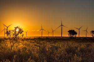 Wind farm at sunset