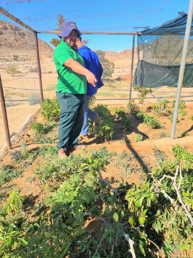 Planters working on Vegetable cultivation area in South Africa