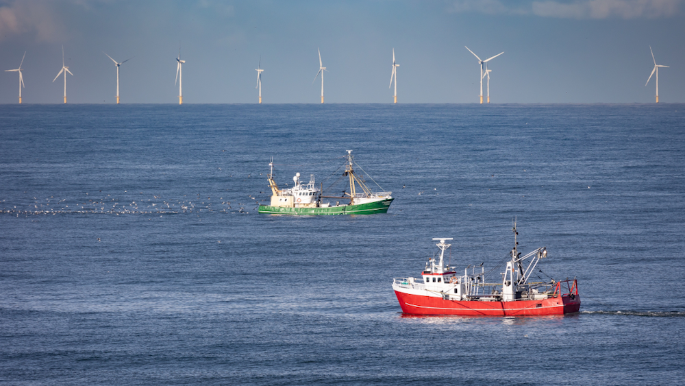 Two fishing vessels at sea with wind turbines on the horizon