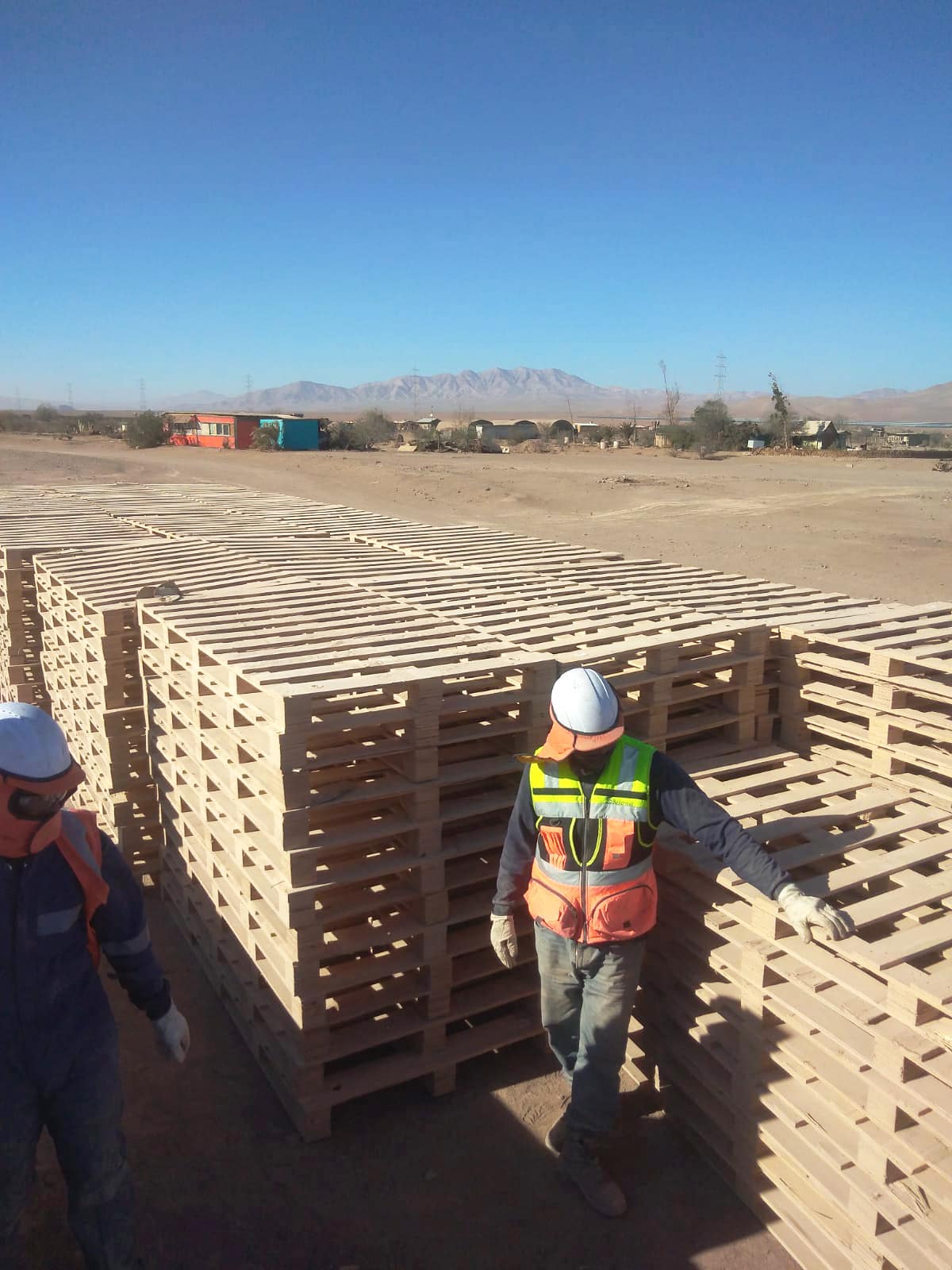 mainstream-sustainability-chile-pampa-tigre-pallet-recycling