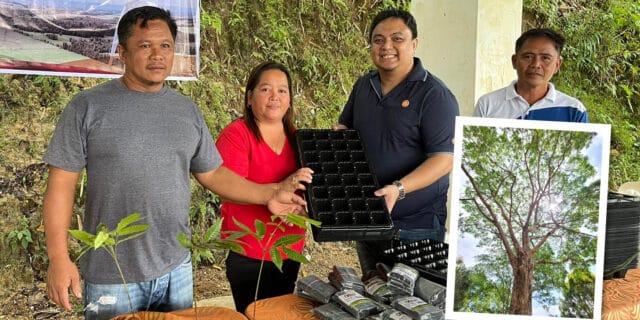 Group with tree seedling kits