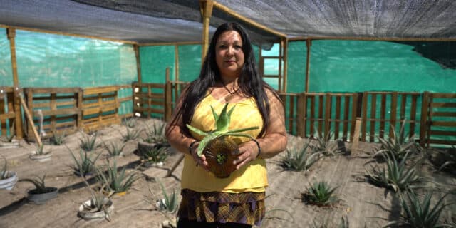 Female indigenous entrepreneur holding aloe vera product